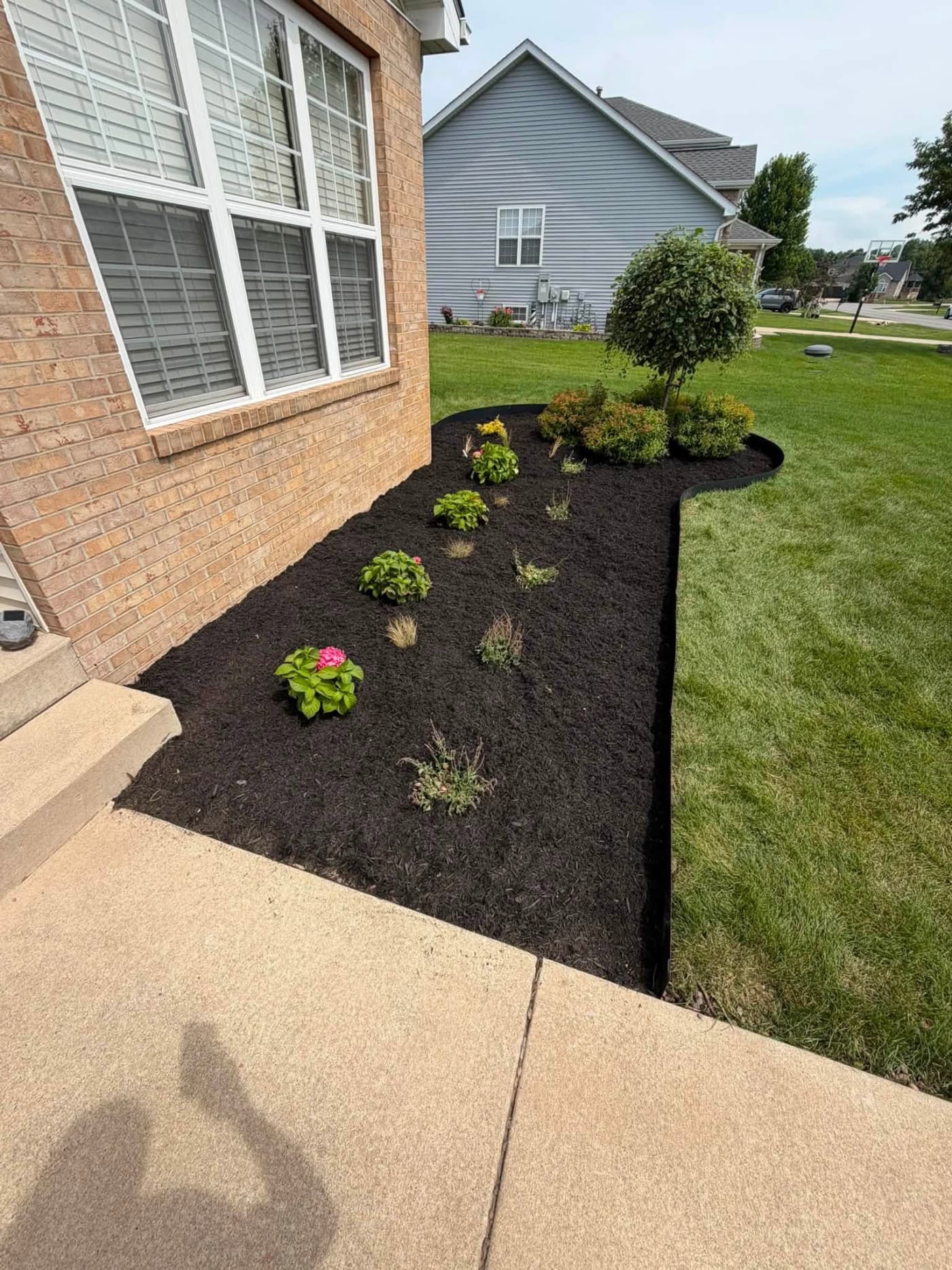 New black mulch bed with young plantings along a brick home